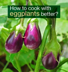 How to cook with eggplants better?